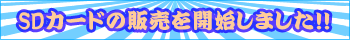 SD�J�[�h�������ĂˁI